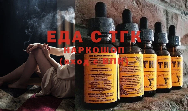 хмурый Абаза