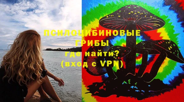 бошки Абдулино