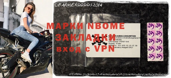 хмурый Абаза
