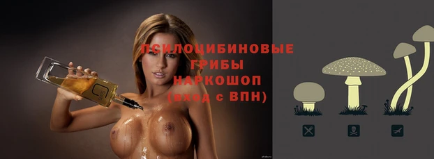 бошки Абдулино